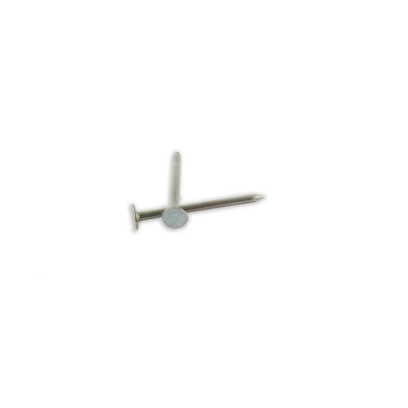 WoodPro Bulk EG Roofing Nails 1-3/4 In. 30LB BR134-30